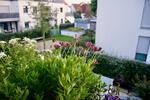 Etagenwohnung Neumarkt in der Oberpfalz Altenhof - 2 Zimmer, 60 m&sup2;, 780&euro; | Angebot:26502804