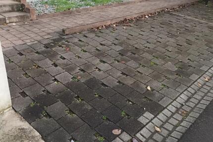 Gewerbeobjekt Frankenthal (Pfalz) - 30&euro; | Angebot:24478004