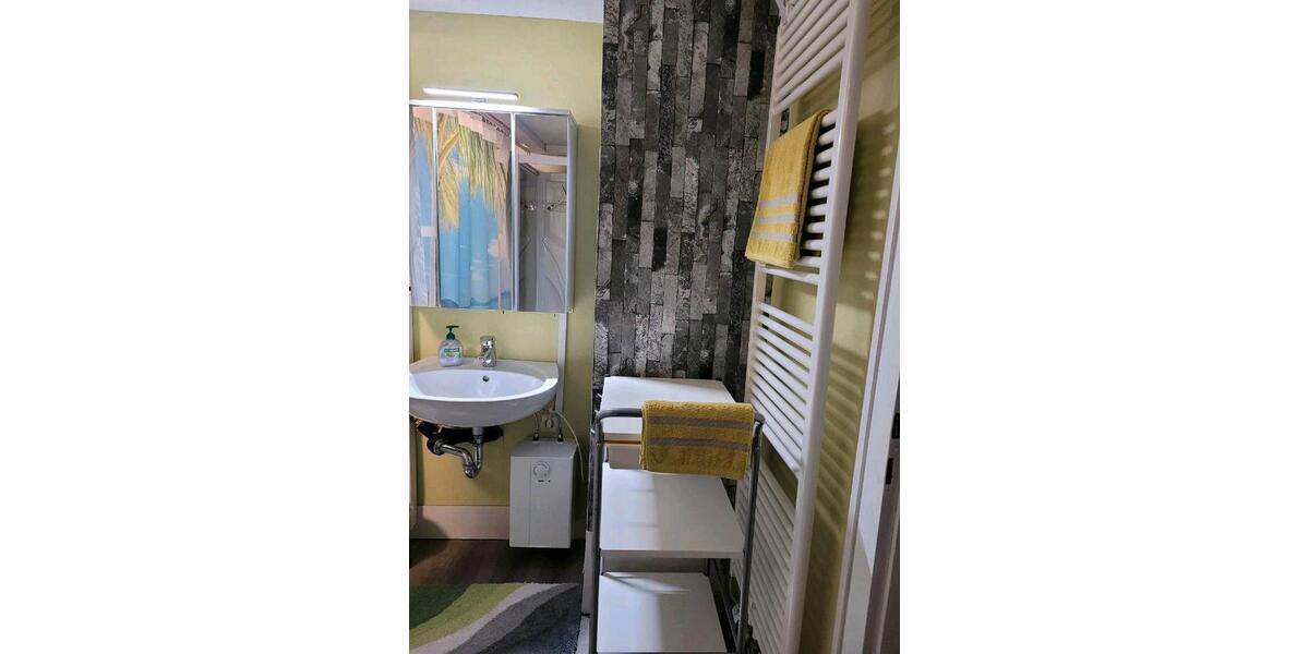 Wohnen auf Zeit Heppenheim (Bergstraße) - 2 Zimmer, 27 m&sup2;, 30&euro; | Angebot:10848894