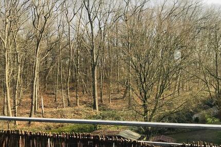 Wohnung Ratingen - 3 Zimmer, 67 m&sup2;, 690&euro; | Angebot:25231910