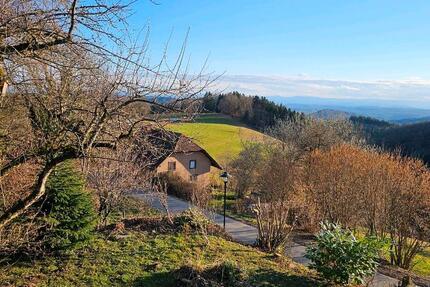 Wohnung Steinen - 2.5 Zimmer, 75 m&sup2;, 750&euro; | Angebot:25291700