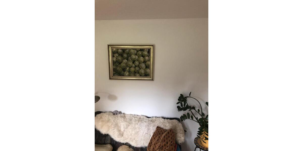 Wohnung in Immenhausen 1 zimmer