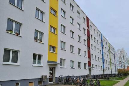 Wohnung Greifswald Industriegebiet - 4 Zimmer, 68 m&sup2;, 442&euro; | Angebot:24808057