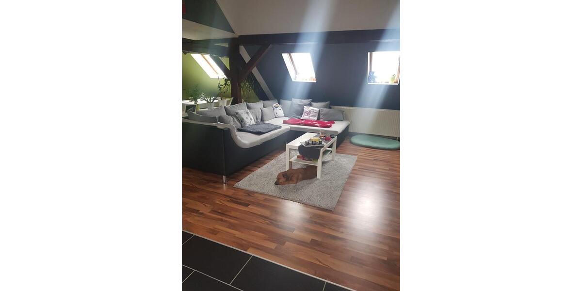 Dachgeschoßwohnung Bitterfeld-Wolfen Bitterfeld - 1 Zimmer, 65 m&sup2;, 550&euro; | Angebot:24658622