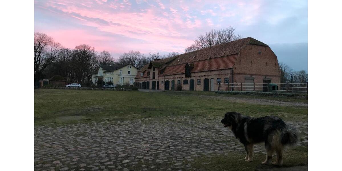 Etagenwohnung Krackow - 2 Zimmer, 65 m&sup2;, 660&euro; | Angebot:25639933