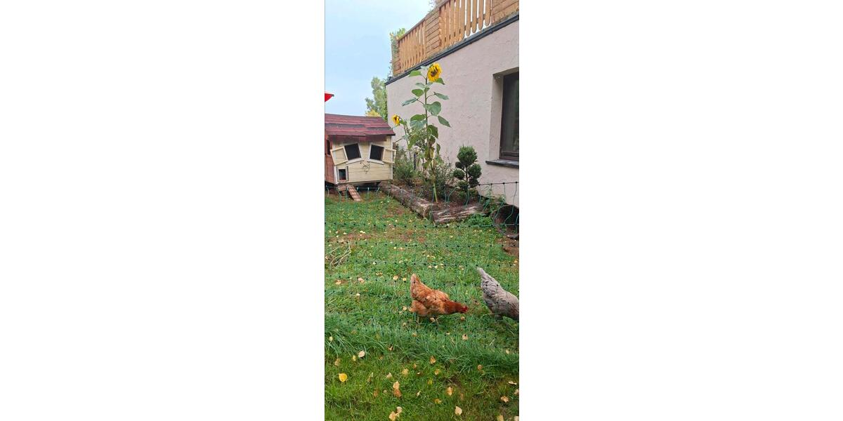 Erdgeschoßwohnung Katzwinkel (Sieg) - 3 Zimmer, 100 m&sup2;, 900&euro; | Angebot:26338677