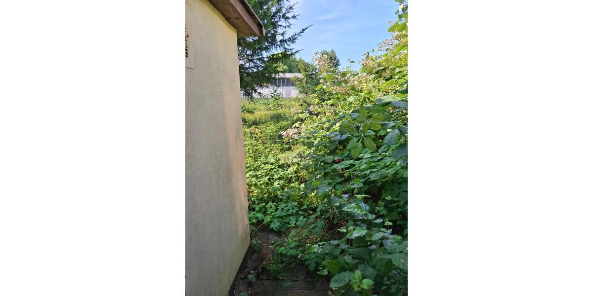 Gewerbeobjekt Gelsenkirchen Gelsenkirchen-Mitte - 2.400&euro; | Angebot:25066823