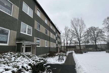 Wohnung Trappenkamp - 3 Zimmer, 73 m&sup2;, 520&euro; | Angebot:24976838