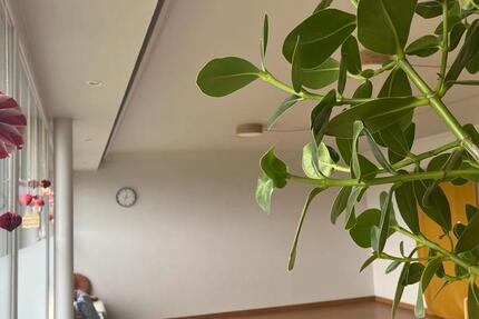 Untermiete Kursraum zimmer