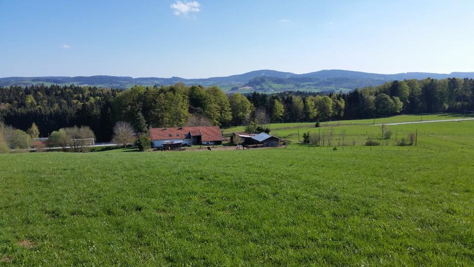 Etagenwohnung Jandelsbrunn - 2 Zimmer, 55 m&sup2;, 350&euro; | Angebot:25404610