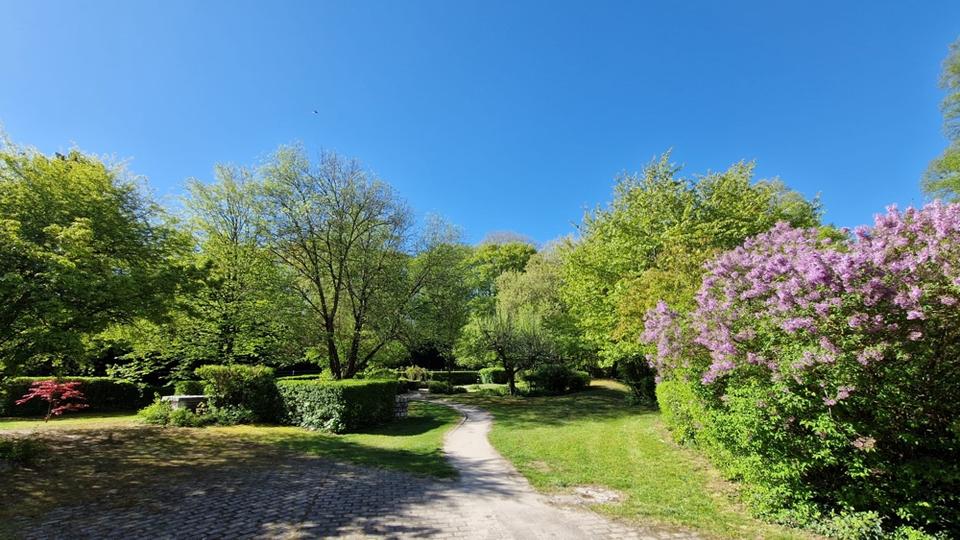 Etagenwohnung Bayreuth City - 4 Zimmer, 127 m&sup2;, 1.695&euro; | Angebot:26413848