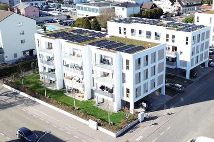 Wohnung Lahr/Schwarzwald Schwarzwald - 2 Zimmer, 65 m&sup2;, 770&euro; | Angebot:27083272