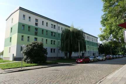 Wohnung zum Mieten in Dessau-Roßlau 250 € 33.25 m² 1 zimmer