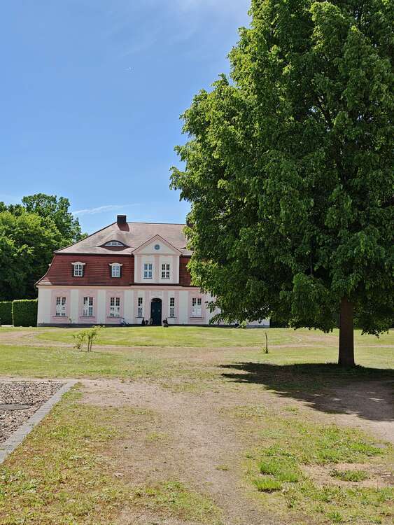 Wohnung zum Mieten in Peitz 1.350 € 130 m²