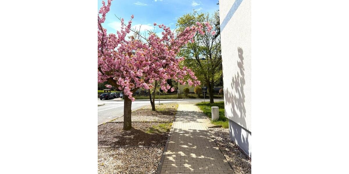 Etagenwohnung Weida - 3 Zimmer, 60 m&sup2;, 330&euro; | Angebot:26366931