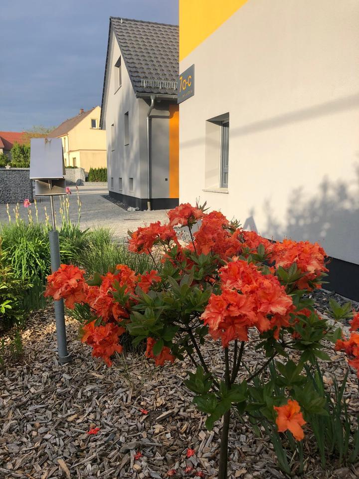 schicke Erdgeschoßwohnung mit Gewölbe in Brauna