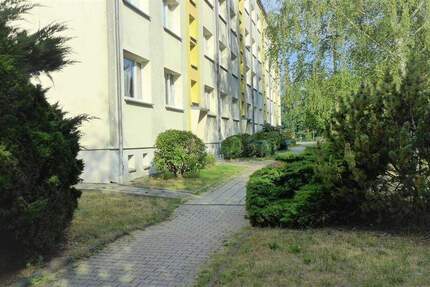 Wohnung Borna - 2 Zimmer, 45 m&sup2;, 270&euro; | Angebot:24843730