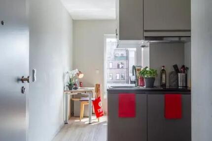 Wohnung Nürnberg Herrnhütte - 1 Zimmer, 21 m&sup2;, 619&euro; | Angebot:25718647
