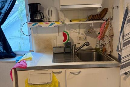Wohnen auf Zeit Freiburg im Breisgau Oberau - 1 Zimmer, 12 m&sup2;, 500&euro; | Angebot:26527587