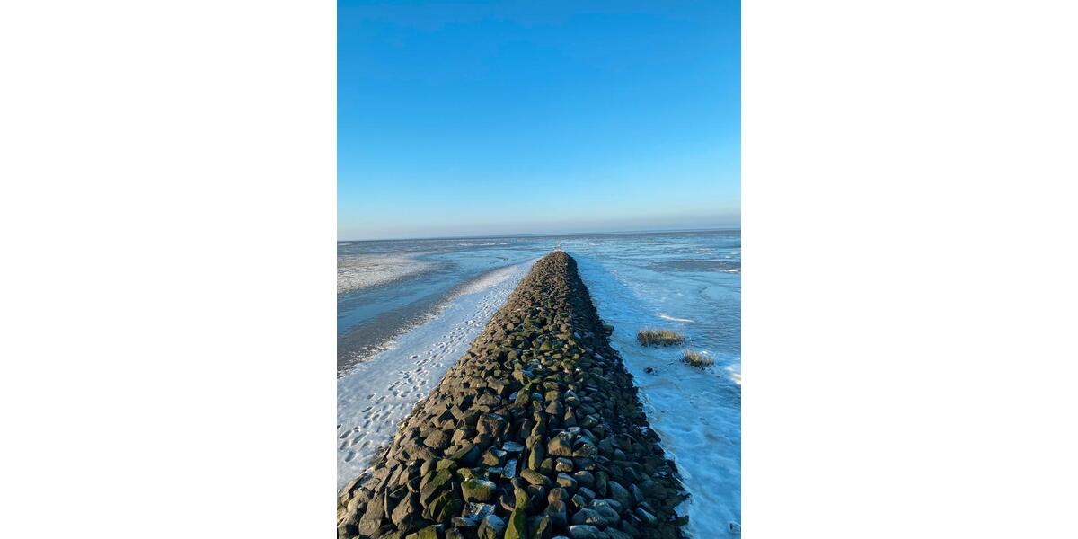 Doppelhaushälfte Friedrichskoog - 3 Zimmer, 65 m&sup2;, 900&euro; | Angebot:26036434