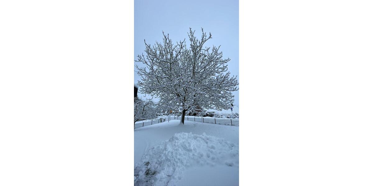 Wohnen auf Zeit Salzhausen - 3 Zimmer, 62 m&sup2;, 80&euro; | Angebot:20229914