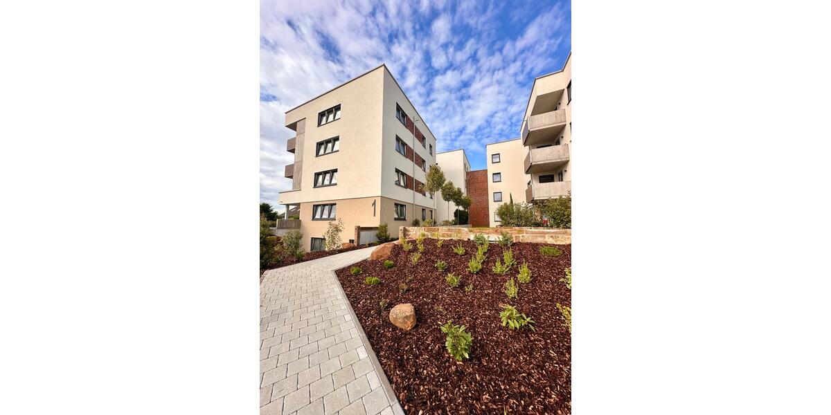 Helle 3-Zimmer-Neubauwohnung in 77731 Willstätt 2 zimmer