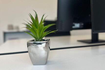 Gewerbeobjekt Lützen - 699&euro; | Angebot:25901434