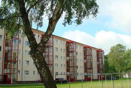 Große 2raum Wohnung mit Wanne, Dusche und großer Küche 2 zimmer