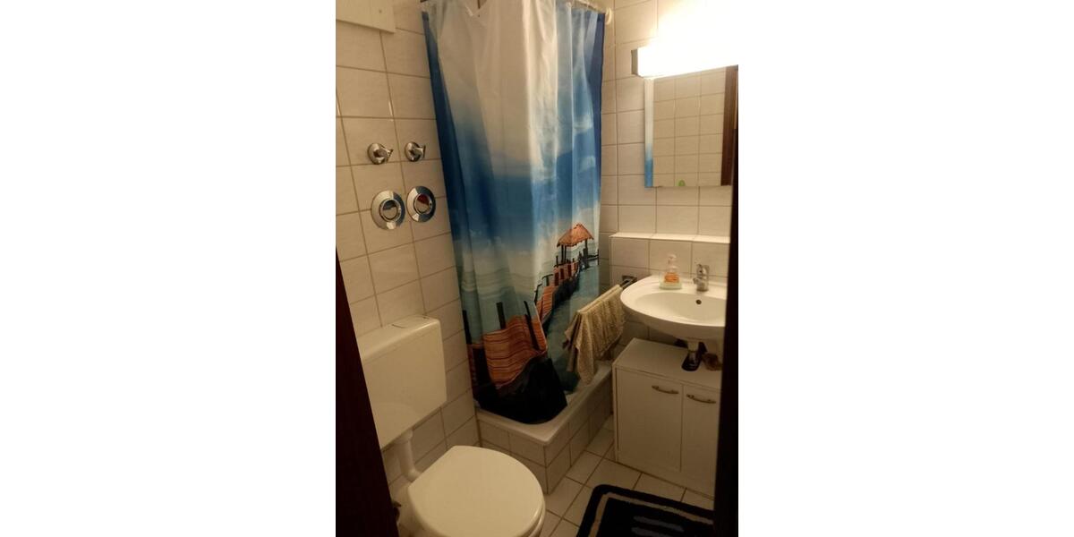 möblierte 1-Zimmer-Wohnung im Zentrum von LudwigshafenRhein 1 zimmer