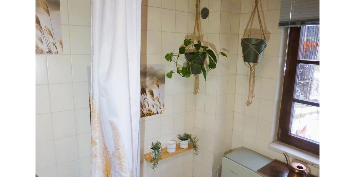 Wohnen auf Zeit Eckersdorf - 1 Zimmer, 47 m&sup2;, 700&euro; | Angebot:24478995