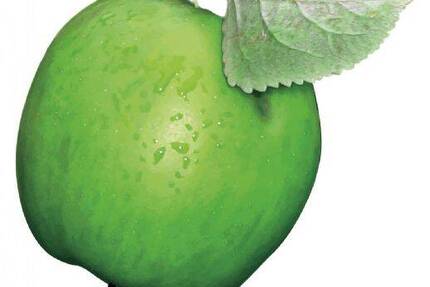 Schicke neu renovierte 2- Zi Wohnung mit EBK und Stellplatz 2 zimmer