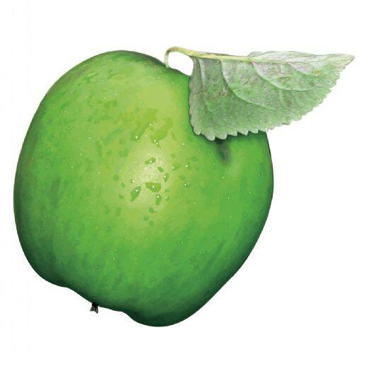 Schicke neu renovierte 2- Zi Wohnung mit EBK und Stellplatz 2 zimmer