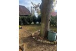 Mehrfamilienhaus, Wohnhaus Lehre - 5 Zimmer, 180 m&sup2;, 1.750&euro; | Angebot:26609584