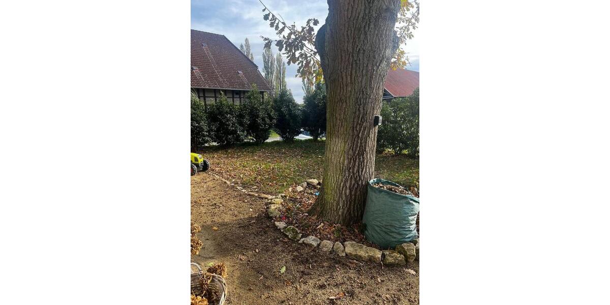 Mehrfamilienhaus, Wohnhaus Lehre - 5 Zimmer, 180 m&sup2;, 1.890&euro; | Angebot:26609584