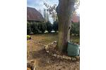 Mehrfamilienhaus, Wohnhaus Lehre - 5 Zimmer, 180 m&sup2;, 1.890&euro; | Angebot:26609584