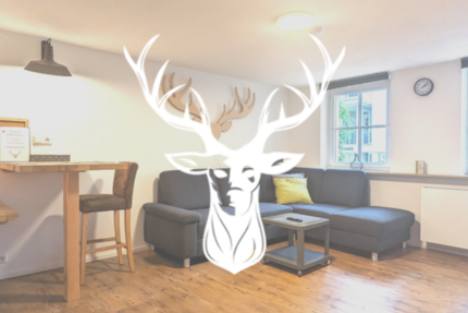 Wohnung Waldshut- Tiengen Tiengen - 2 Zimmer, 54 m&sup2;, 1.750&euro; | Angebot:13808363