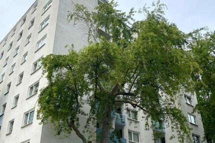 Wohnung Offenbach am Main Bieberer Berg - 3 Zimmer, 70 m&sup2;, 755&euro; | Angebot:26492515