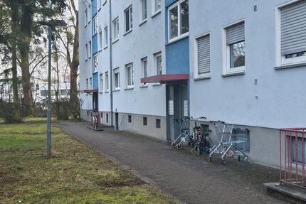 Wohnen auf Zeit Maintal - 11 Zimmer, 66 m&sup2;, 450&euro; | Angebot:25993247