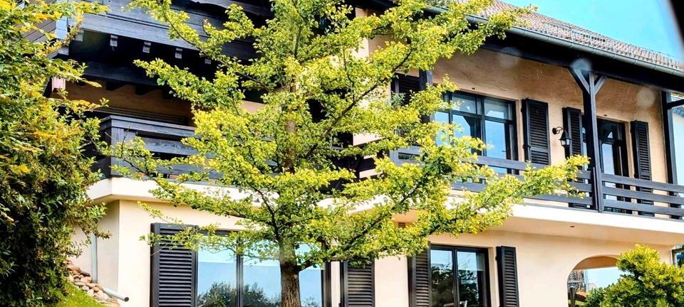 Schöne zwei Zimmerwohnung im Sockelgeschoss