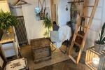 Zimmer von Mo-Fr in der Altstadt