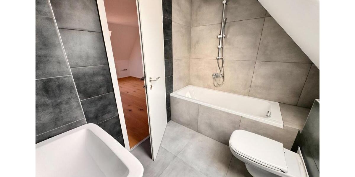 großzügige renovierte 1,5 Zi. Whg in Ebermannstadt zu vermieten 1 zimmer