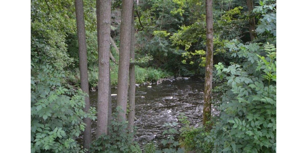 Wohnen auf Zeit Thale - 6 Zimmer, 120 m&sup2;, 14&euro; | Angebot:19467584