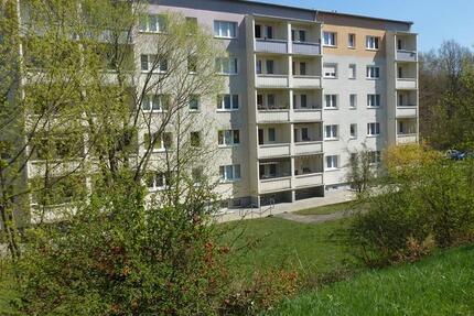 Wohnung Kamenz - 2 Zimmer, 49 m&sup2;, 340&euro; | Angebot:25257512