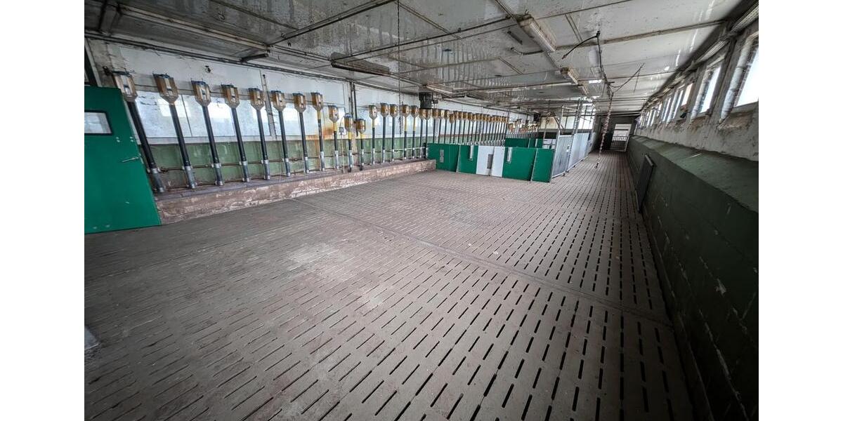 Gewerbeobjekt Jessen (Elster) - 785&euro; | Angebot:24373632