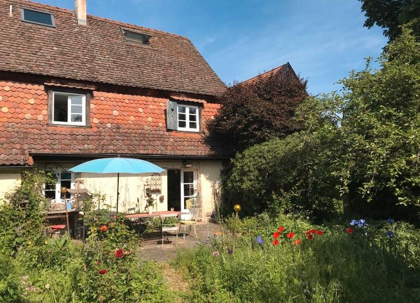 Etagenwohnung Breisach am Rhein - 1 Zimmer, 30 m&sup2;, 450&euro; | Angebot:25713670