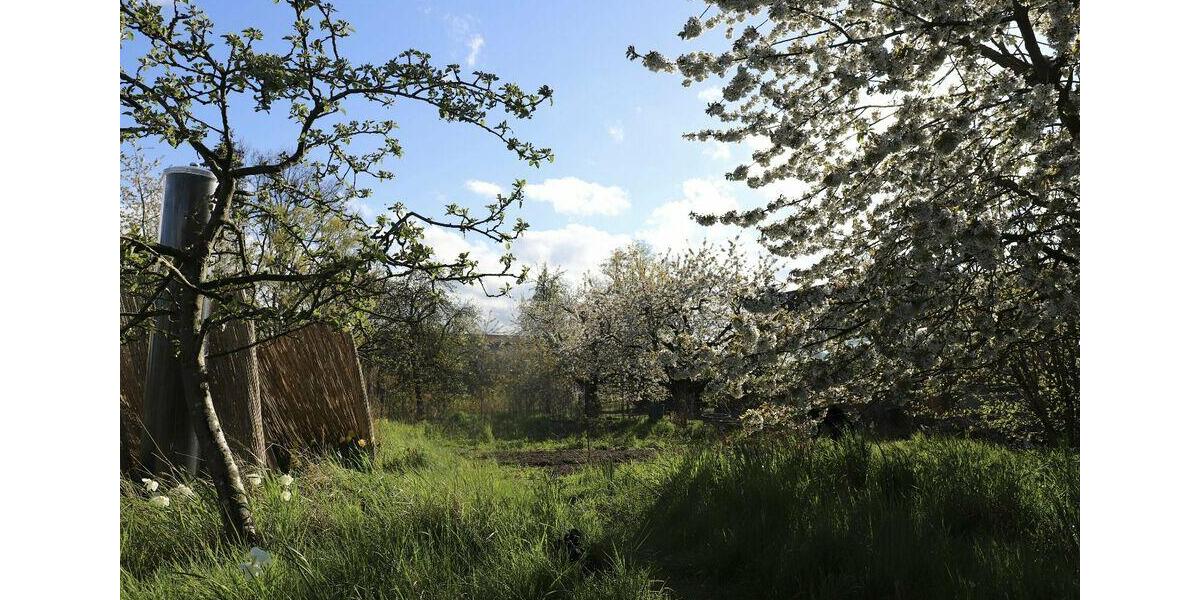 Dachgeschoßwohnung Eisenach - 3 Zimmer, 65 m&sup2;, 590&euro; | Angebot:26006873