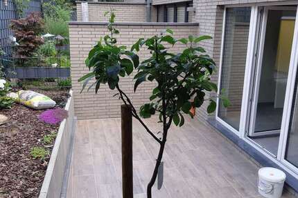 Wohnung zum Mieten in Herzogenrath 935 € 105 m² 2 zimmer