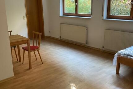 Einzimmerwohnung in ruhiger Lage am Eselsberg zimmer