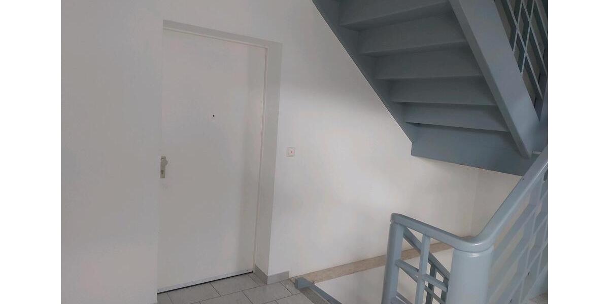 3 Zimmerwohnung 3 zimmer