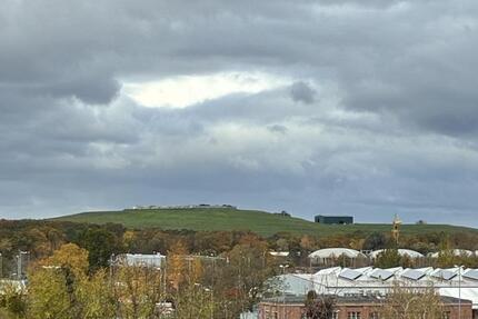 Wohnen auf Zeit Dessau-Roßlau Dessau - 1 Zimmer, 25 m&sup2;, 270&euro; | Angebot:24003069